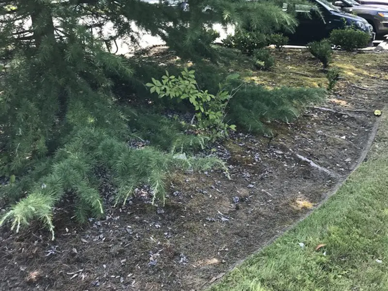 Gallery Thumbnail 15